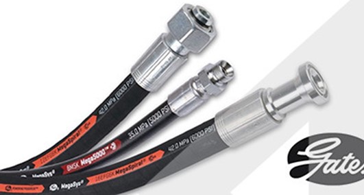 Gewerbefläche zur Vermietung Gewerbefläche zur Vermietung